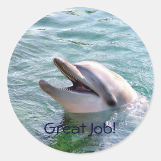 Dophin School Multomap Teacher Reward Sticker