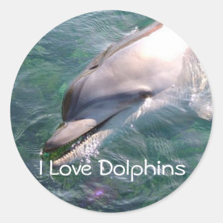 Dophin School Teacher Reward Sticker