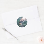 Dophin School Teacher Reward Sticker (Envelop)