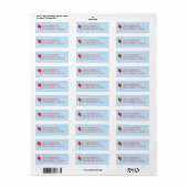Dopsworp Rode & Blauwe Afstudeer Retouradres Etiket (Full Sheet)