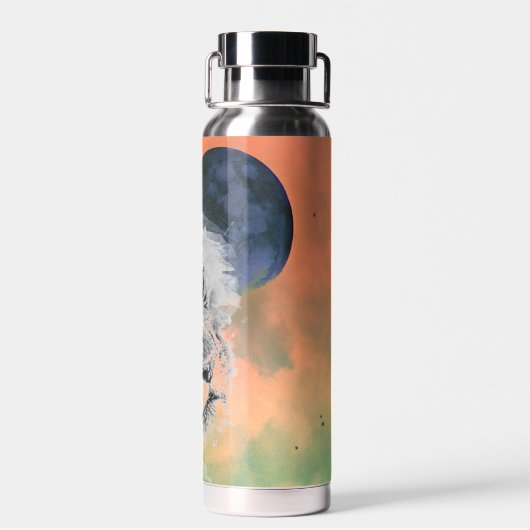 Dor Kopervacuüm-geïsoleerde fles (Achterkant)