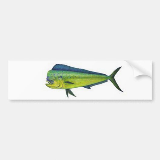 Dorado Bumpersticker (Voorkant)