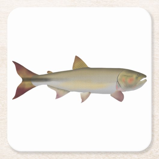 Dorado Kartonnen Onderzetters (Voorkant)