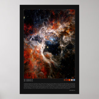 Doradus (Tarantula Nebula, NGC 2070) Poster