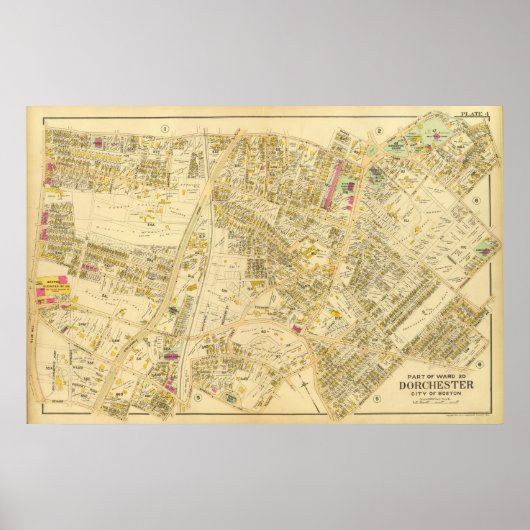 Dorchester, Massachusetts 7 Poster (Voorkant)