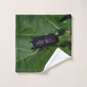 Dorcus parallelipedus, de kleine kever bad handdoek (Wasdoekje)