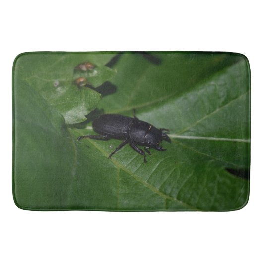 Dorcus parallelipedus, de kleine kever badmat (Voorkant)