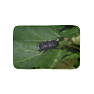 Dorcus parallelipedus, de kleine kever badmat
