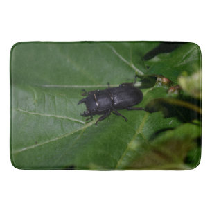 Dorcus parallelipedus, de kleine kever badmat
