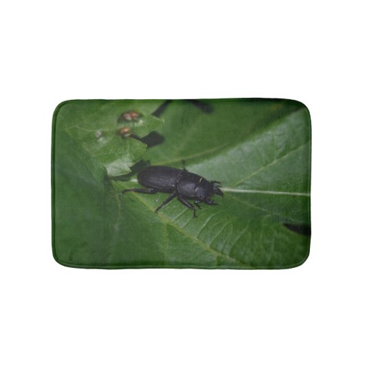 Dorcus parallelipedus, de kleine kever badmat (Voorkant)