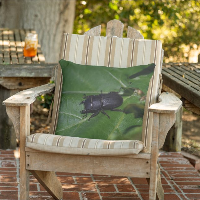 Dorcus parallelipedus, de kleine kever buitenkussen (Stoel)