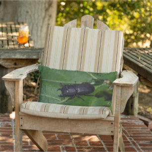 Dorcus parallelipedus, de kleine kever buitenkussen