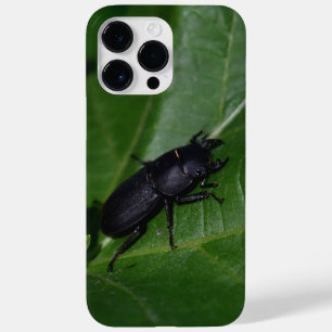 Dorcus parallelipedus, de kleine kever Case-Mate iPhone 14 pro max hoesje