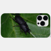 Dorcus parallelipedus, de kleine kever Case-Mate iPhone case (Achterkant (horizontaal))