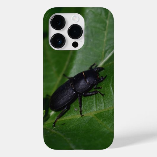 Dorcus parallelipedus, de kleine kever Case-Mate iPhone case (Achterkant)