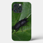 Dorcus parallelipedus, de kleine kever Case-Mate iPhone case (Achterkant)