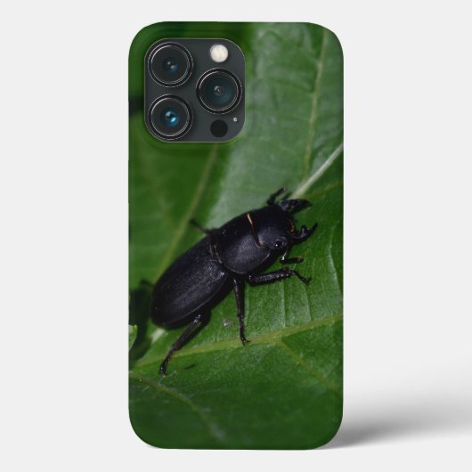Dorcus parallelipedus, de kleine kever Case-Mate iPhone case (Achterkant)
