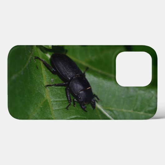 Dorcus parallelipedus, de kleine kever Case-Mate iPhone case (Achterkant (horizontaal))