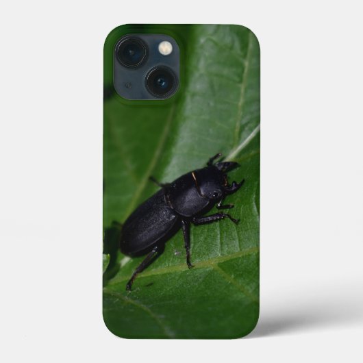 Dorcus parallelipedus, de kleine kever Case-Mate iPhone case (Achterkant)