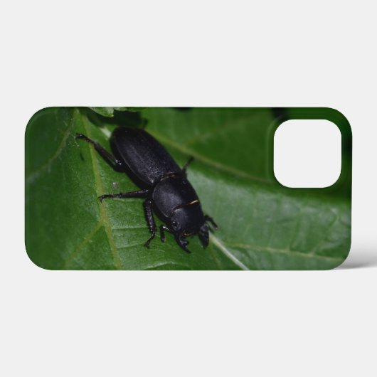 Dorcus parallelipedus, de kleine kever Case-Mate iPhone case (Achterkant (horizontaal))
