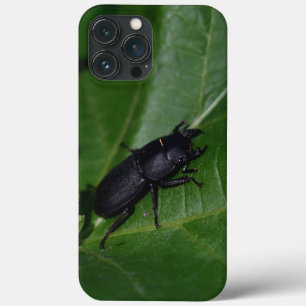 Dorcus parallelipedus, de kleine kever Case-Mate iPhone case