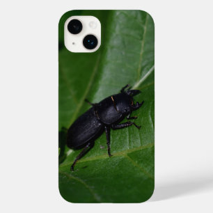 Dorcus parallelipedus, de kleine kever Case-Mate iPhone 14 plus hoesje