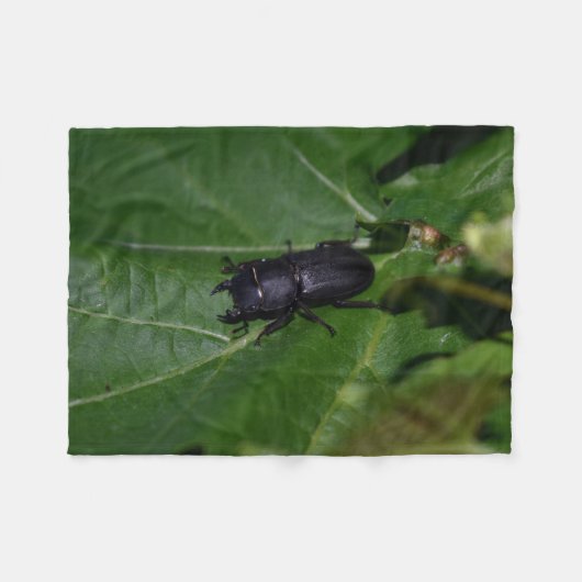Dorcus parallelipedus, de kleine kever fleece deken (Voorkant (Horizontaal))