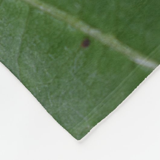 Dorcus parallelipedus, de kleine kever fleece deken (Hoek)