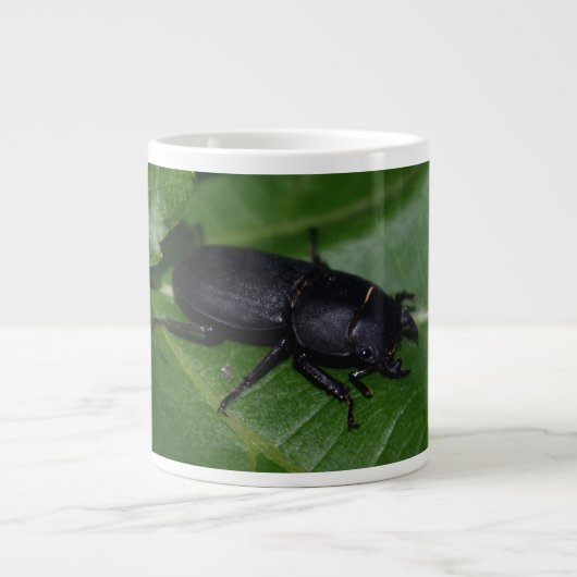 Dorcus parallelipedus, de kleine kever grote koffiekop (Voorkant)