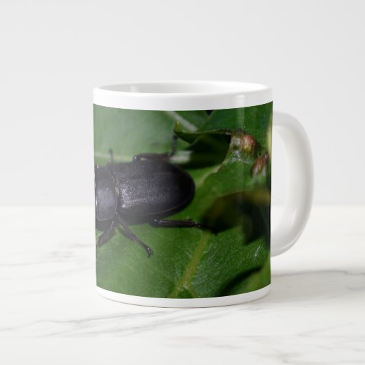 Dorcus parallelipedus, de kleine kever grote koffiekop (Voorkant rechts)