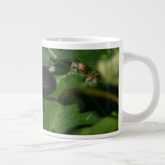 Dorcus parallelipedus, de kleine kever grote koffiekop (Rechts)