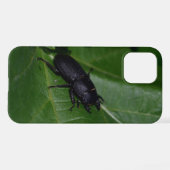 Dorcus parallelipedus, de kleine kever iPhone hoesje (Achterkant horizontaal)