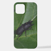 Dorcus parallelipedus, de kleine kever iPhone hoesje (Achterkant)