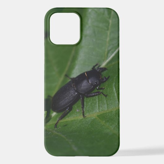 Dorcus parallelipedus, de kleine kever iPhone hoesje (Achterkant)