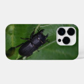 Dorcus parallelipedus, de kleine kever iPhone hoesje (Achterkant horizontaal)