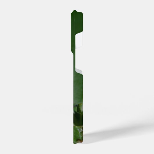 Dorcus parallelipedus, de kleine kever iPhone hoesje (Linkerkant)