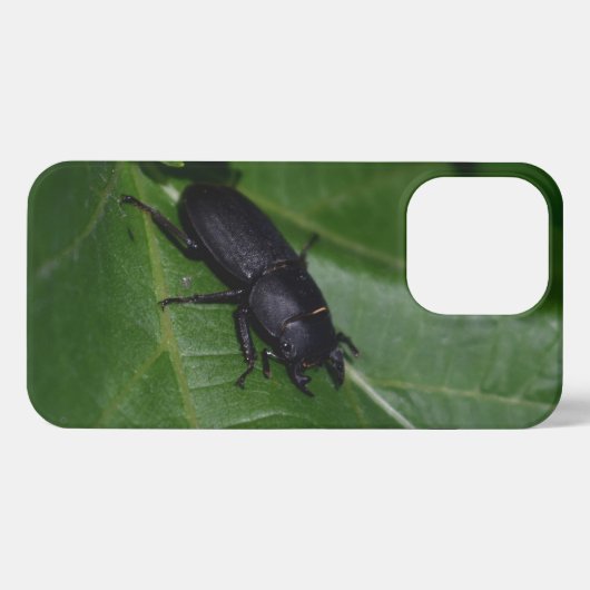Dorcus parallelipedus, de kleine kever iPhone hoesje (Achterkant horizontaal)