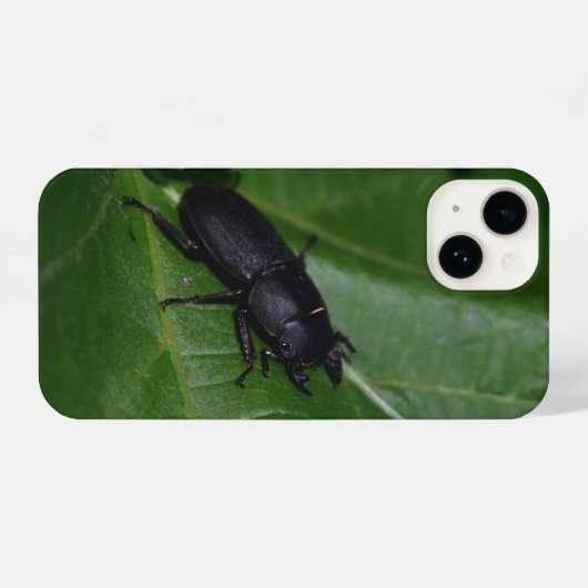 Dorcus parallelipedus, de kleine kever iPhone hoesje (Achterkant horizontaal)