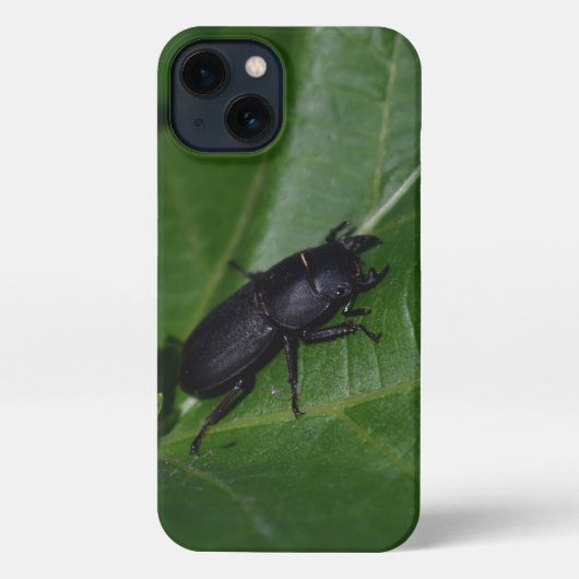 Dorcus parallelipedus, de kleine kever iPhone hoesje (Achterkant)