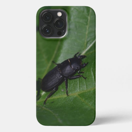 Dorcus parallelipedus, de kleine kever iPhone hoesje (Achterkant)