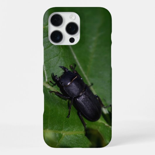 Dorcus parallelipedus, de kleine kever iPhone hoesje (Achterkant)