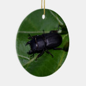 Dorcus parallelipedus, de kleine kever keramisch ornament (Rechts)