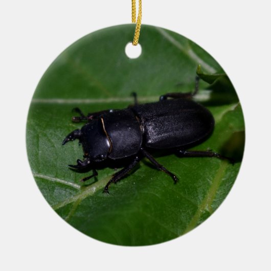 Dorcus parallelipedus, de kleine kever keramisch ornament (Voorkant)