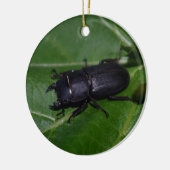 Dorcus parallelipedus, de kleine kever keramisch ornament (Links)