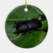Dorcus parallelipedus, de kleine kever keramisch ornament (Achterkant)