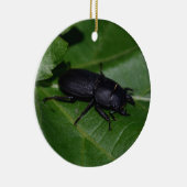 Dorcus parallelipedus, de kleine kever keramisch ornament (Rechts)