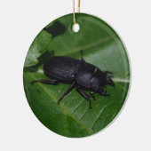 Dorcus parallelipedus, de kleine kever keramisch ornament (Links)