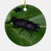 Dorcus parallelipedus, de kleine kever keramisch ornament (Achterkant)
