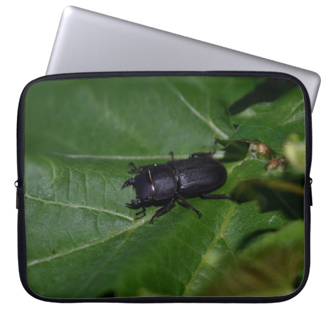 Dorcus parallelipedus, de kleine kever laptop sleeve (Voorkant)