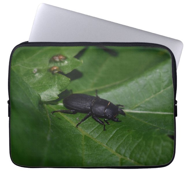 Dorcus parallelipedus, de kleine kever laptop sleeve (Voorkant)